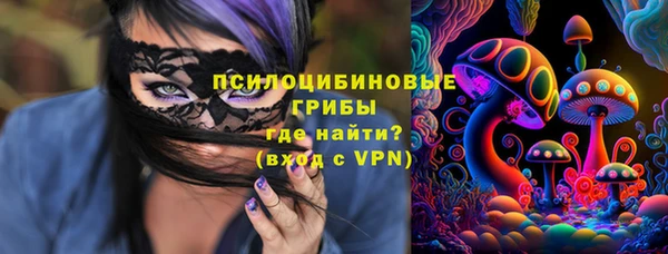 меф Медвежьегорск