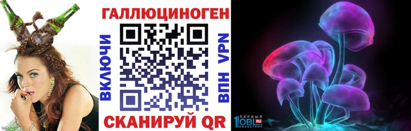 МЕГА   Каргат  Галлюциногенные грибы Psilocybine cubensis  как найти  